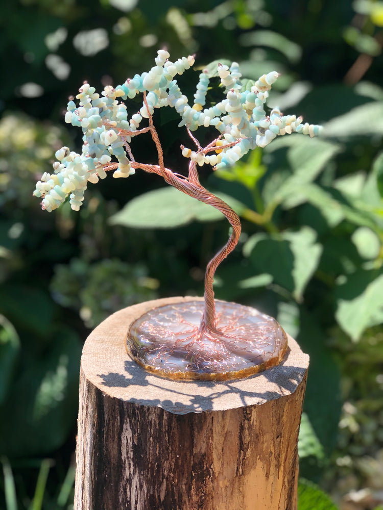 Decor & Accessories