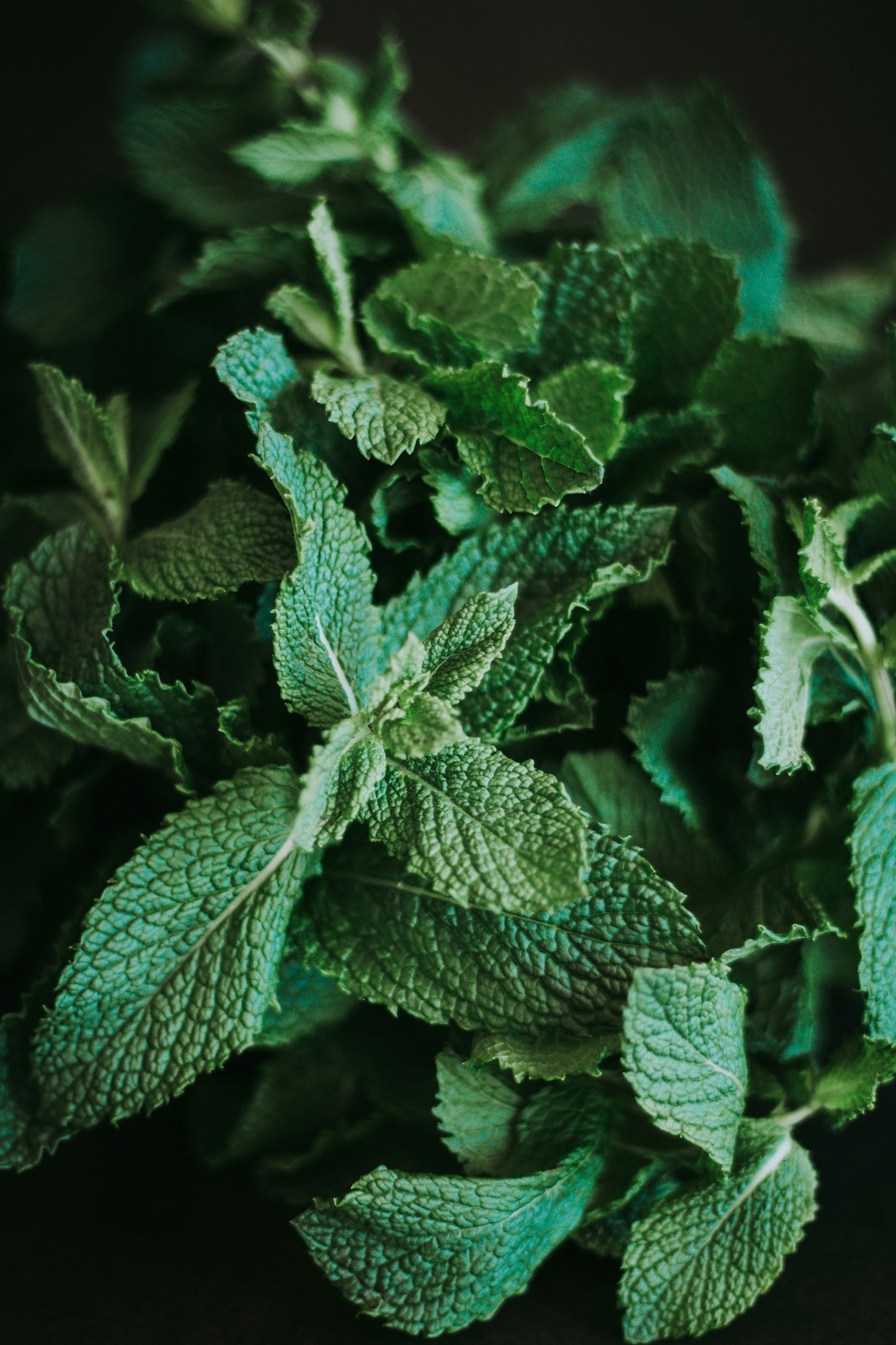Mint to Be