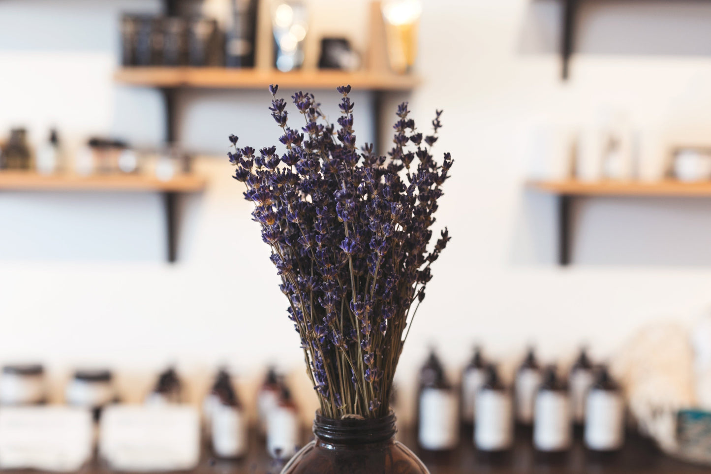 Lavender Essential Oil