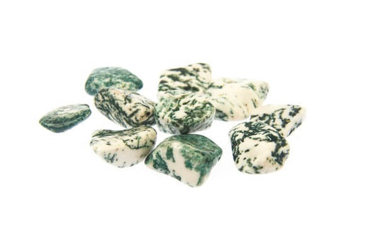 Tree Agate Tumbled Gemstones