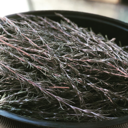 Rosemary Smudge