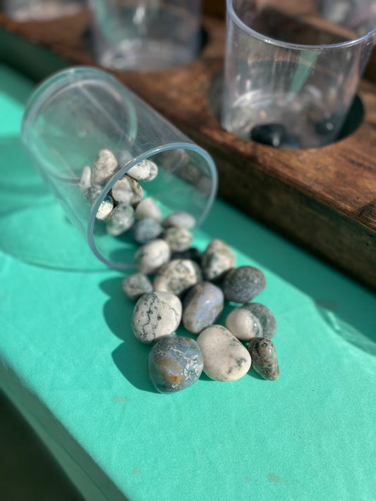 Tree Agate Tumbled Gemstones