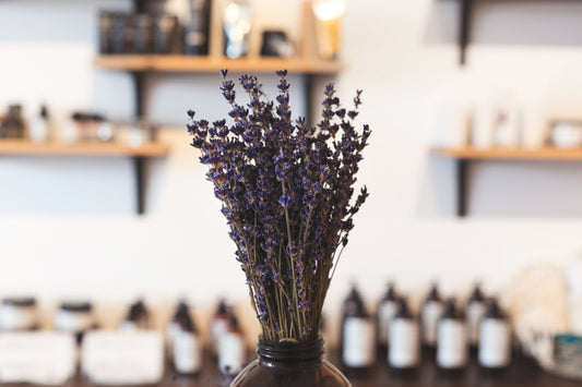 Lavender Essential Oil