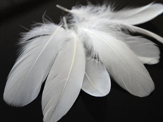 White Feather Wand